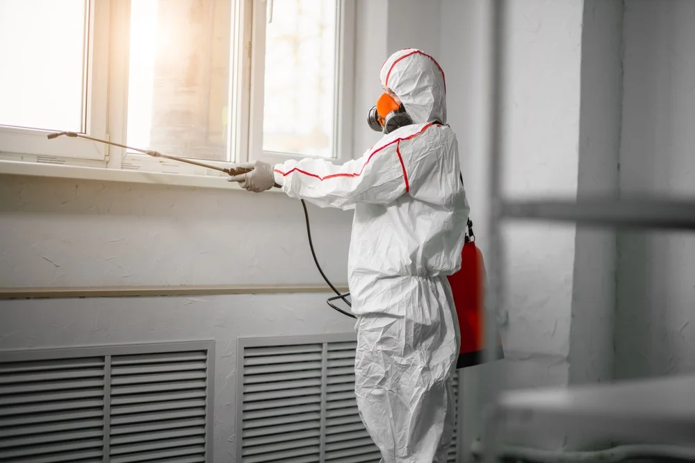 Professional mold remediation services in Crystal Beach, FL